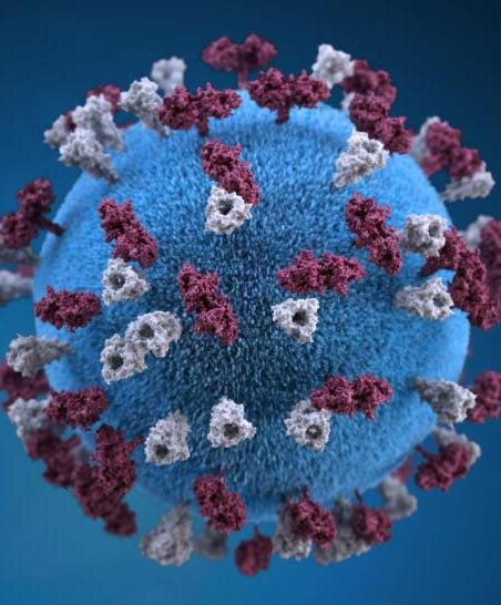 3D graphical representation of a spherical-shaped measles virus particle that is studded with glycoprotein tubercles.