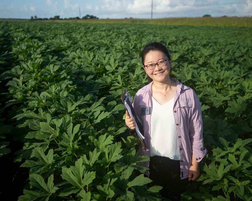 Dr. Xiaoying Li at the UF/IFAS Tropical Research and Education Center (TREC). Photo taken 07-15-24.