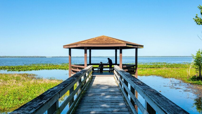 Anglers enjoy a peaceful day of fishing from the pier at Lochloosa Wildlife Conservation Area.