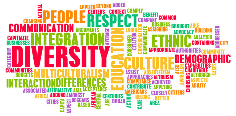 Diversity in Culture and People as a Concept