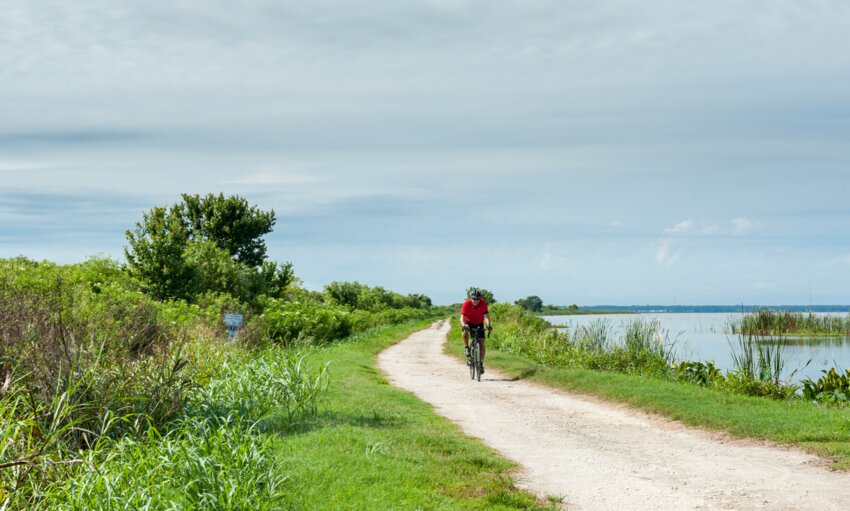 Lake Apopka North Shore