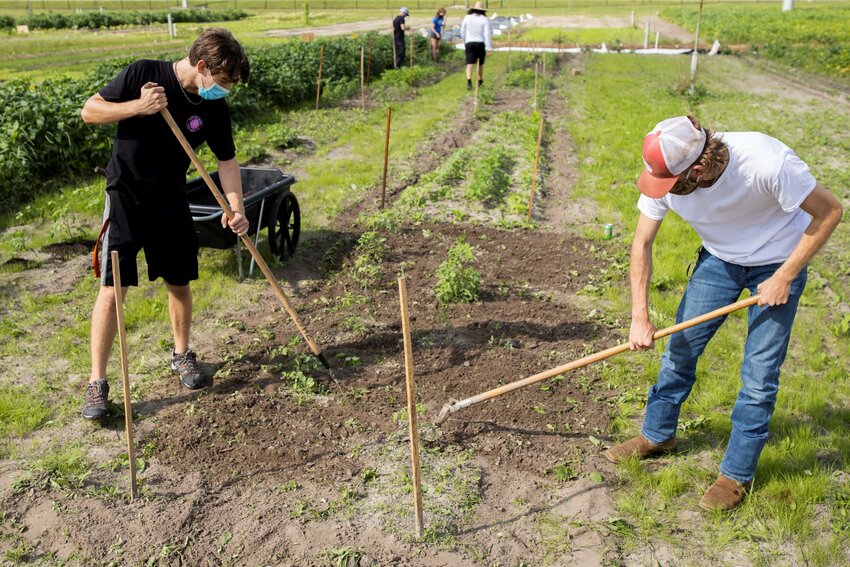 Horticultural Sciences (HS) students working garden plots at the teaching farm. Photo taken 10-09-20.