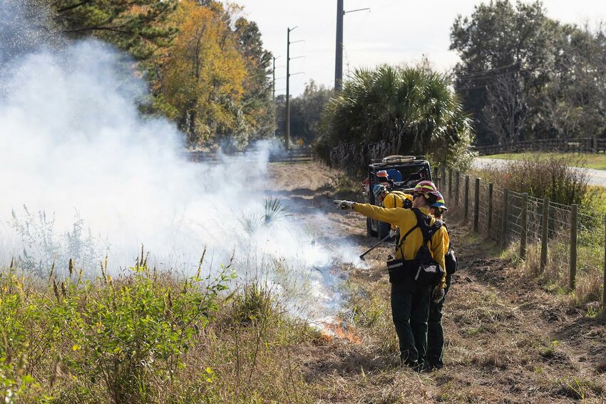 Firefighters conducting a prescribed burn at Ordway Swisher Biological Station. Photo taken 12-05-23