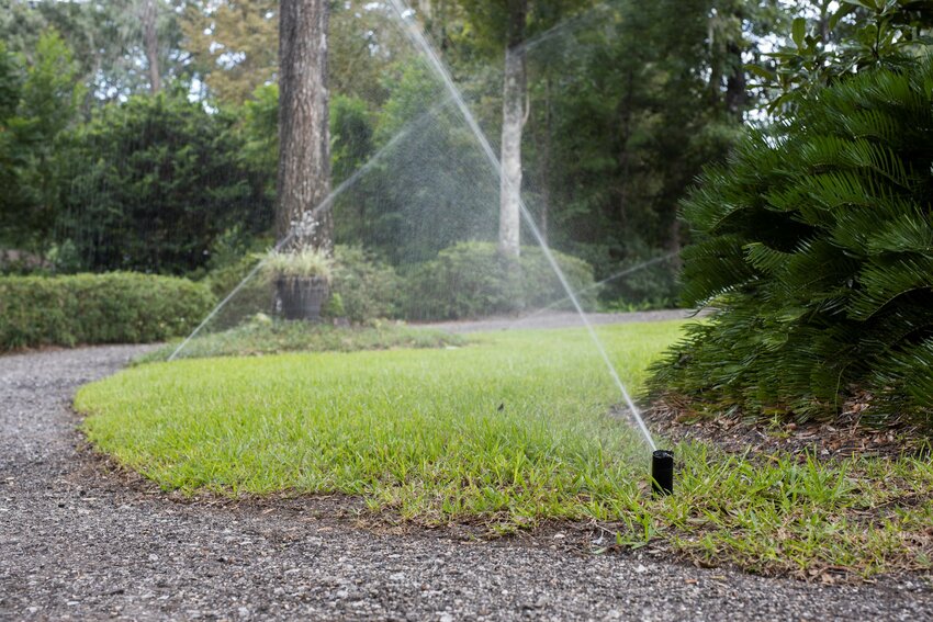 Pop-up, in-ground sprinkler head and home irrigation system. Photo taken 09-22-20.