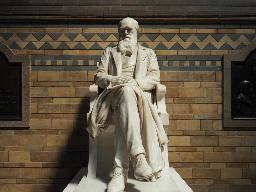 LONDON, UK - JUNE 09, 2023: Charles Darwin statue at the Natural History Museum by sculptor Sir Joseph Boehm circa 1885