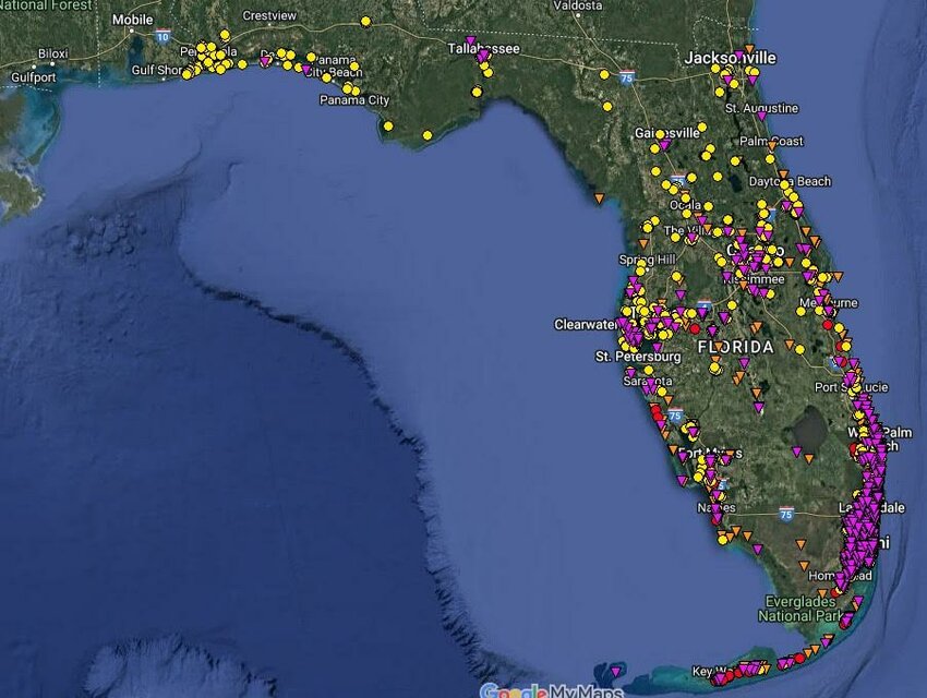 With the updated online UF/IFAS termite distribution map of Florida, viewers can zoom in on the map and click on a colored point to reveal the termite species and the location where it was recorded and established.