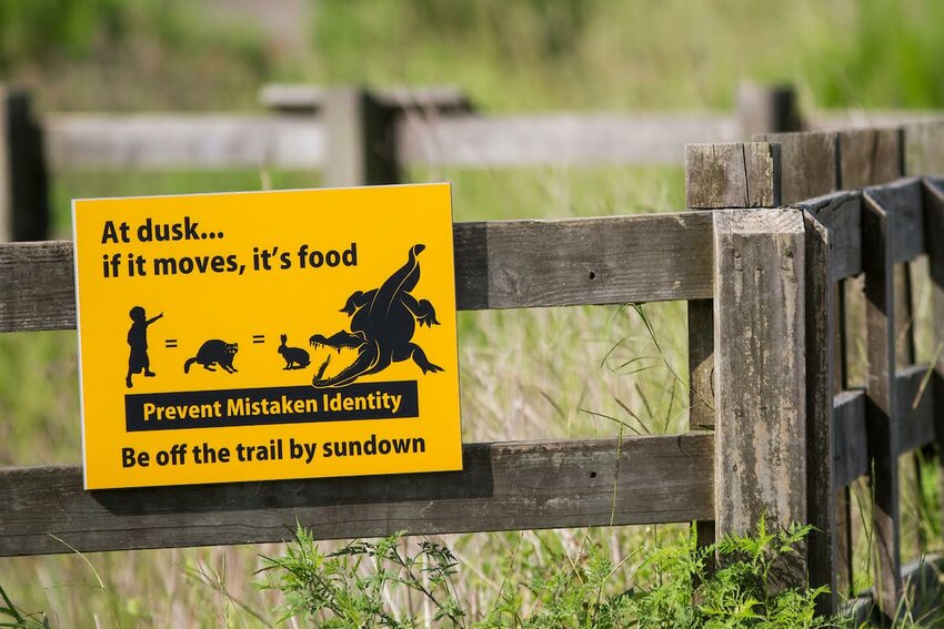 An alligator safety and warning sign on a fence.