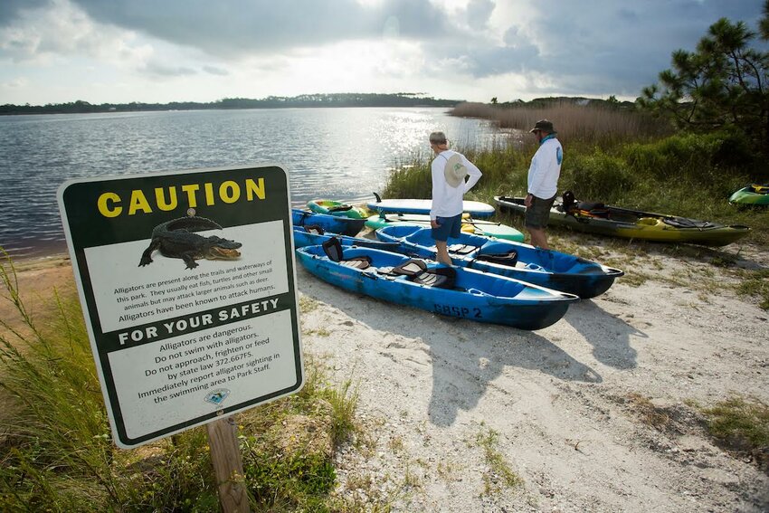 People preparing to kayak on a Florida lake. Photo taken 09-26-18.