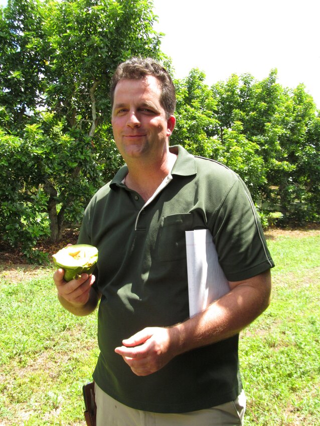 Jeff Wasielewski is a commercial tropical fruit agent at UF/IFAS Extension Miami-Dade County who provides the latest research to growers and the public on avocados and more. (Photo by UF/IFAS).