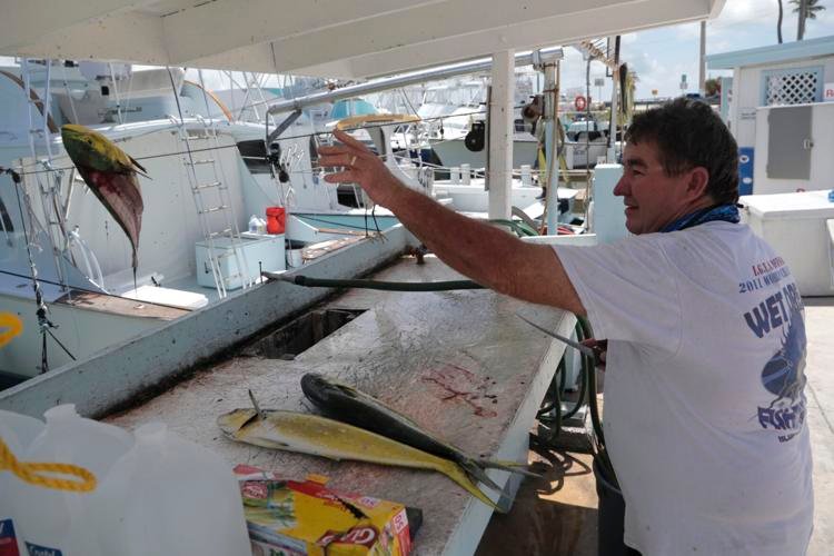 Charter fishing boat captain Glen Miller cleans freshly caught mahi-mahi at Bud N' Mary's marina in Islamorada, in the Florida Keys, on Monday, June 1, 2020. Lynne Sladky / AP