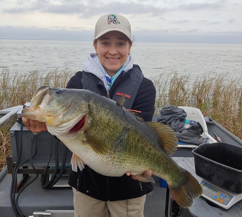 Prize of up to $5,000 awaits the winner of the inaugural Lake Apopka Fish  Tag Challenge