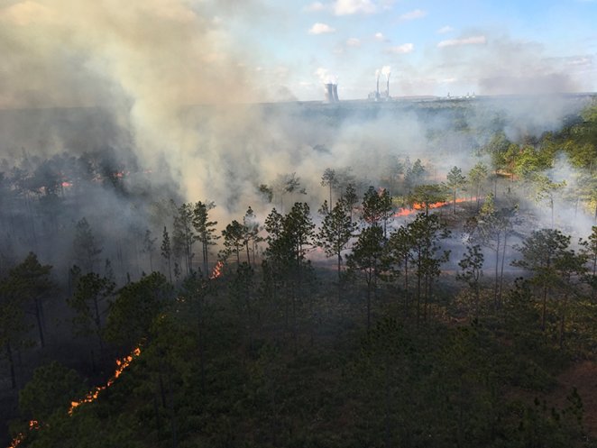 Prescribed fire helps reduce the possibility of dangerous wildfire while enhancing land&rsquo;s environmental quality. Pictured is a January 2021 prescribed burn conducted at Hal Scott Regional Preserve and Park in Orlando.