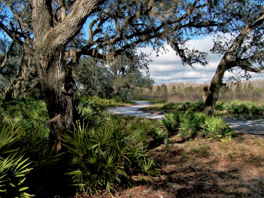 Split Oak Forest Wildlife and Environmental Area.