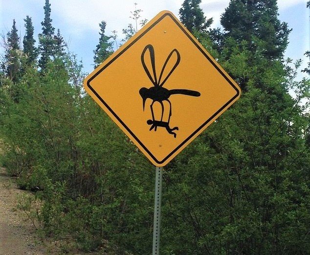 Road sign in Alaska