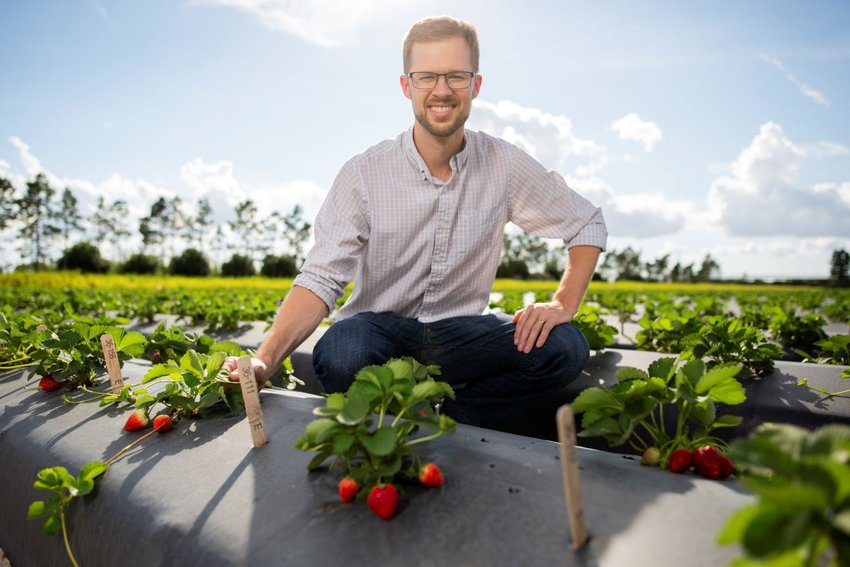 &ldquo;We already have a lot of technology that helps us understand the genes in strawberries, but those genes still need to be connected to their actual effect on the plant &ndash; in this case how the plant resists powdery mildew disease,&rdquo; said Vance Whitaker, an associate professor at UF/IFAS.