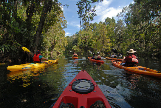 Canoes, kayaks, and stand-up paddleboards are available for rent at many state parks.
