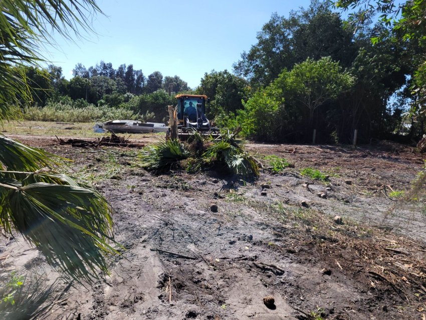 Workers clear land at an environmentally sensitive site destined for development in Stuart.