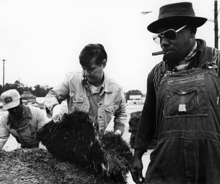 Bob Graham, on his first workday after being elected governor, handles sod for a Tallahassee road project, working eight hours in a light rain.