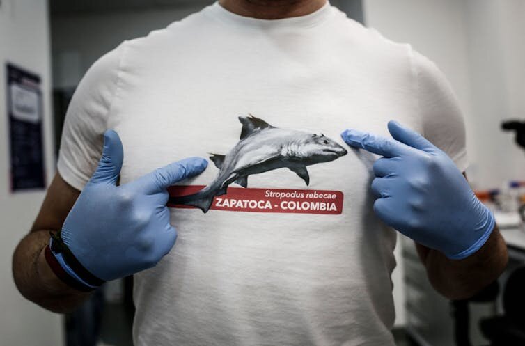 A paleontologist wears a T-shirt showing Strophodus rebecae, a shark species with flat teeth that lived millions of years ago.