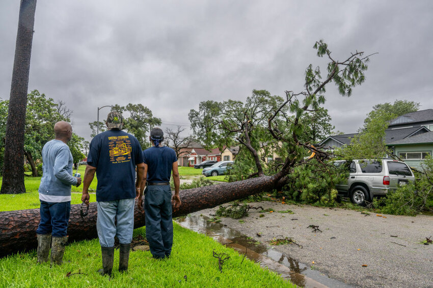 HOUSTON, TEXAS - JULY 08: Residents assess a fallen tree in their in their neighborhood after Hurricane Beryl swept through the area on July 08, 2024 in Houston, Texas. Tropical Storm Beryl developed into a Category 1 hurricane as it hit the Texas coast late last night. (Photo by Brandon Bell/Getty Images)