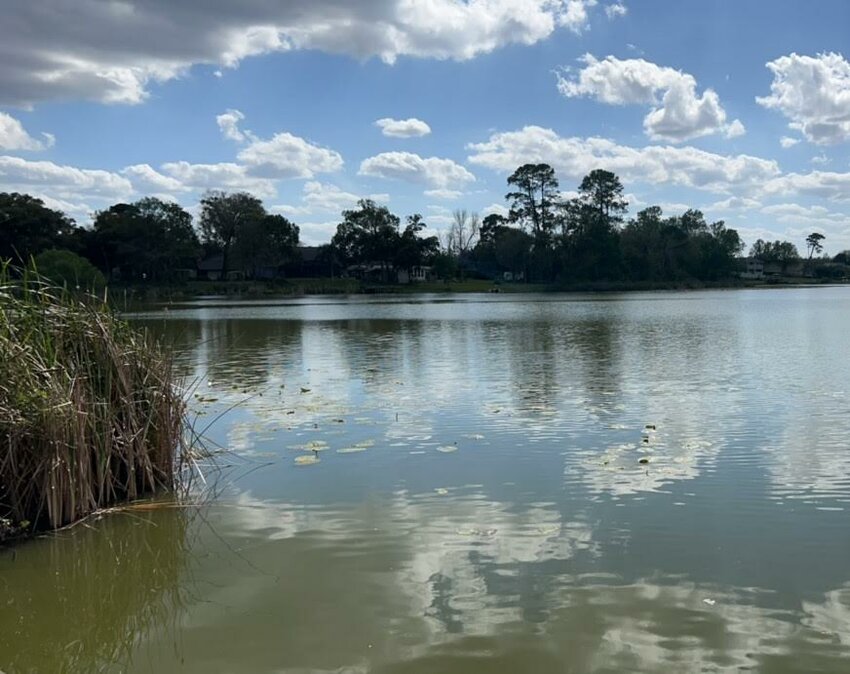 Lake Pearl in Apopka.