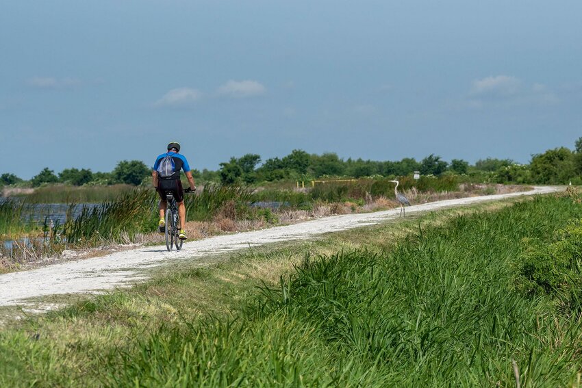 Bicycling at the Lake Apopka North Shore