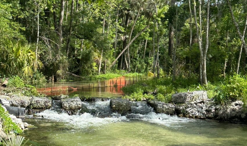 Little Wekiva River.