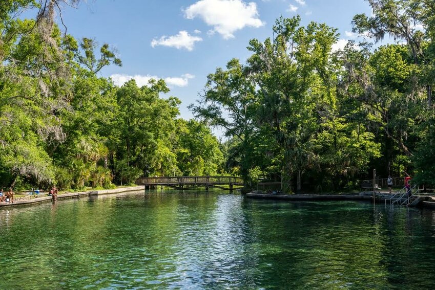 The Wekiva River.