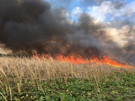 Prescribed fire helps reduce the possibility of dangerous wildfire while enhancing land’s environmental quality.