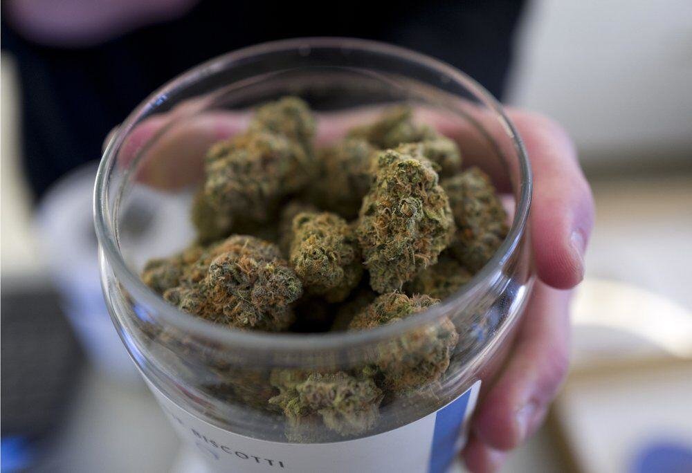 In this Feb. 7, 2019, file photo, a bud tender shows a top cannabis strain at Serra, a dispensary in Portland, Oregon. Richard Vogel/AP