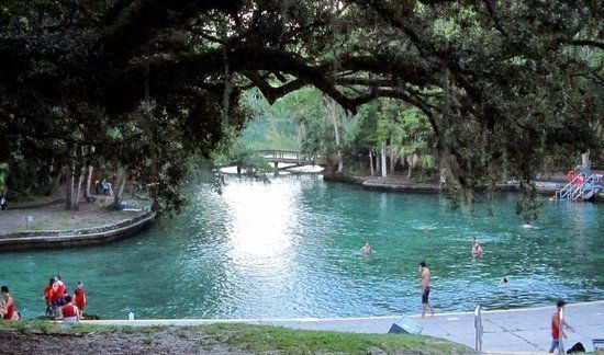 Wekiva Springs State Park, photo by Central Florida Sierra Club