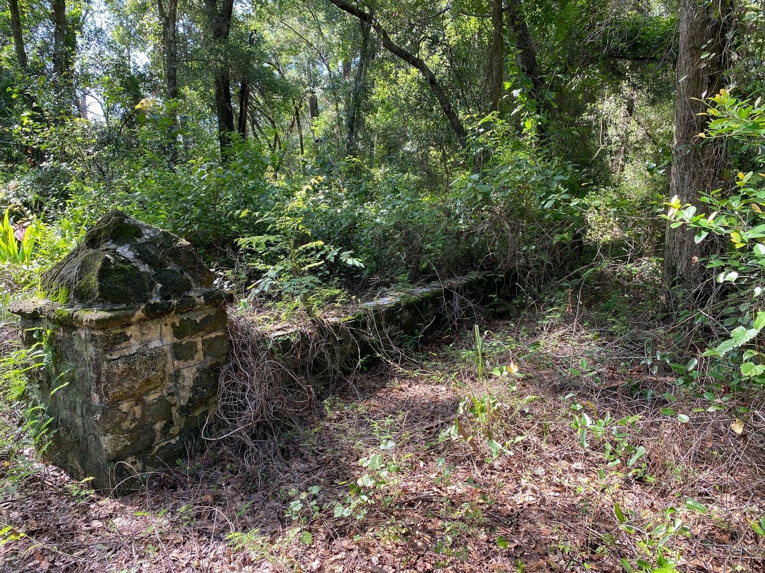 Nature has begun to reclaim the Bay Ridge Cemetery.
