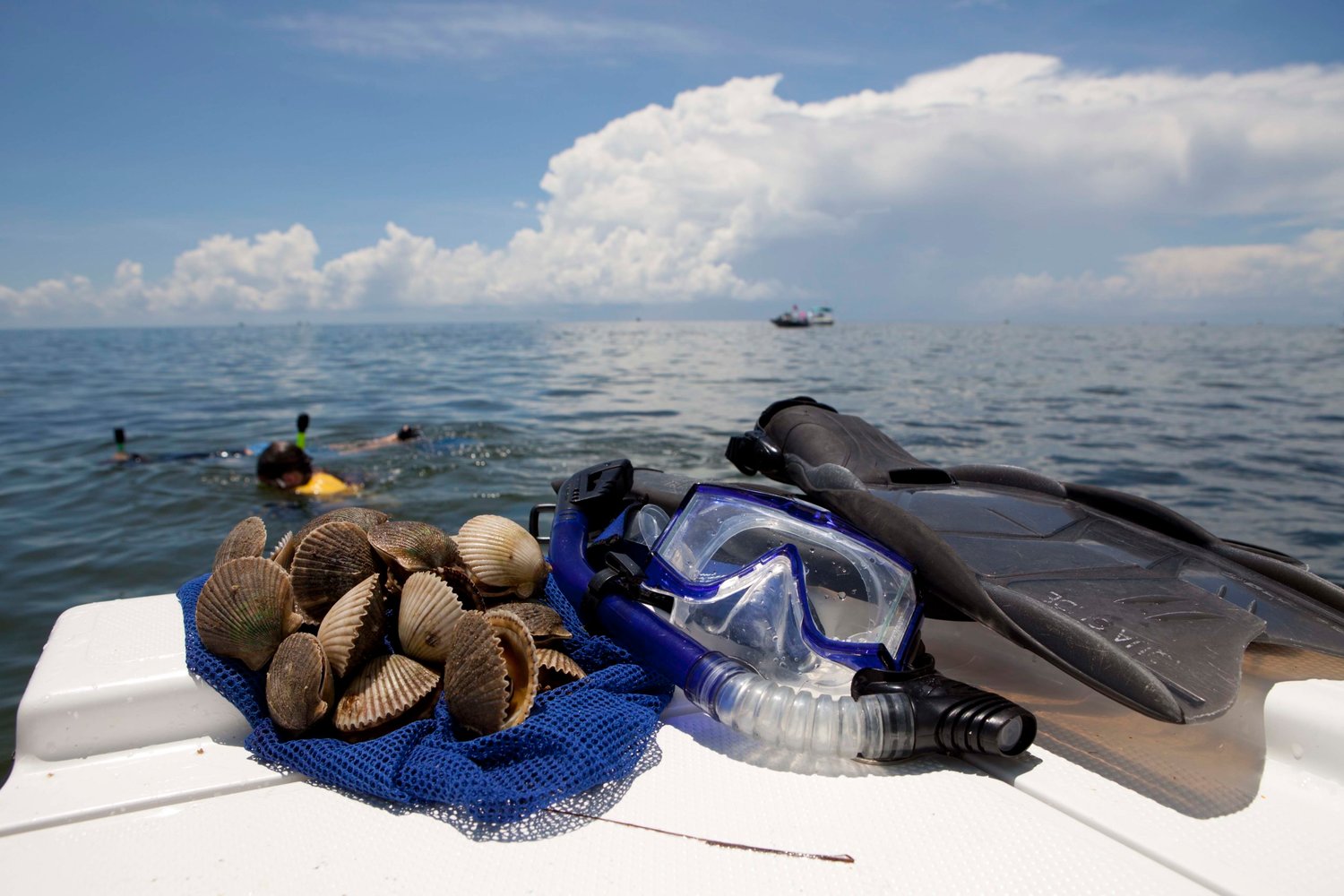 Scallops, snorkeling equipment, and scallopers off the coast of Keaton Beach, Florida.
