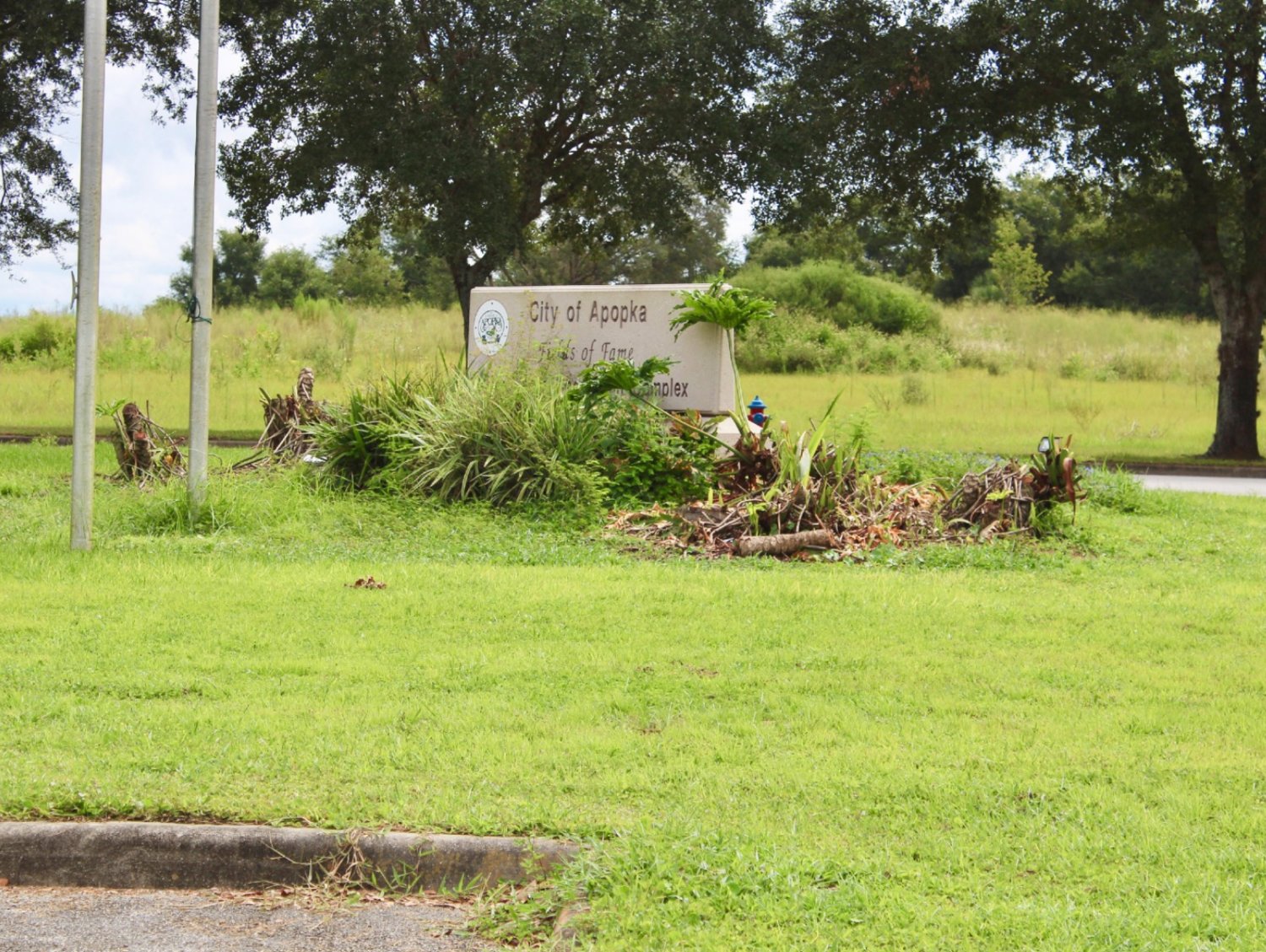 Photo of overgrown Apopka sign, used in presentation by Commissioner Kyle Becker