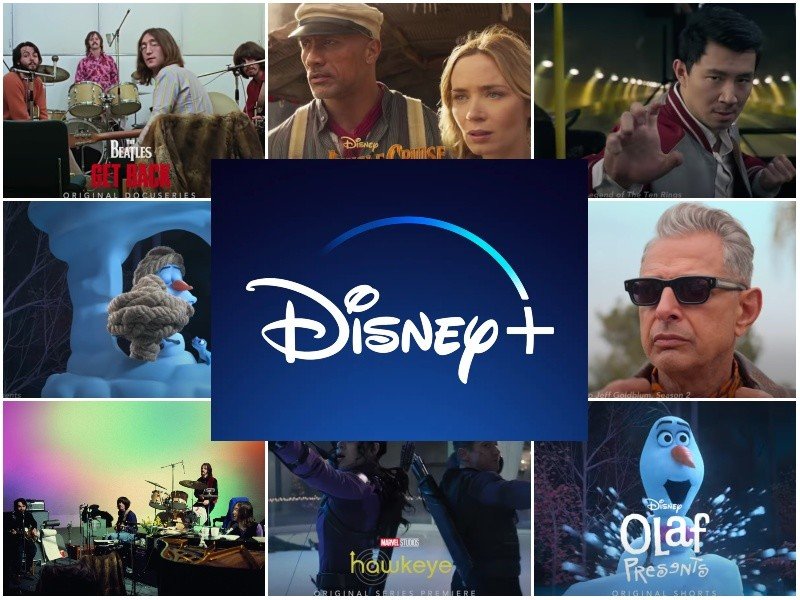 Everything coming to Disney Plus in November The Apopka Voice