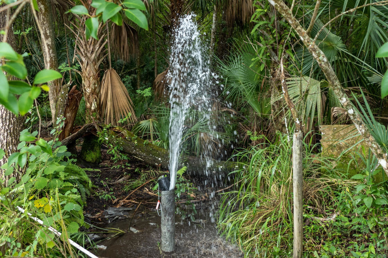 An artesian well is a well that has been drilled into an aquifer where the underground pressure causes the water to rise inside the well. Many of these free-flowing wells were used by farmers decades ago but are no longer needed today.