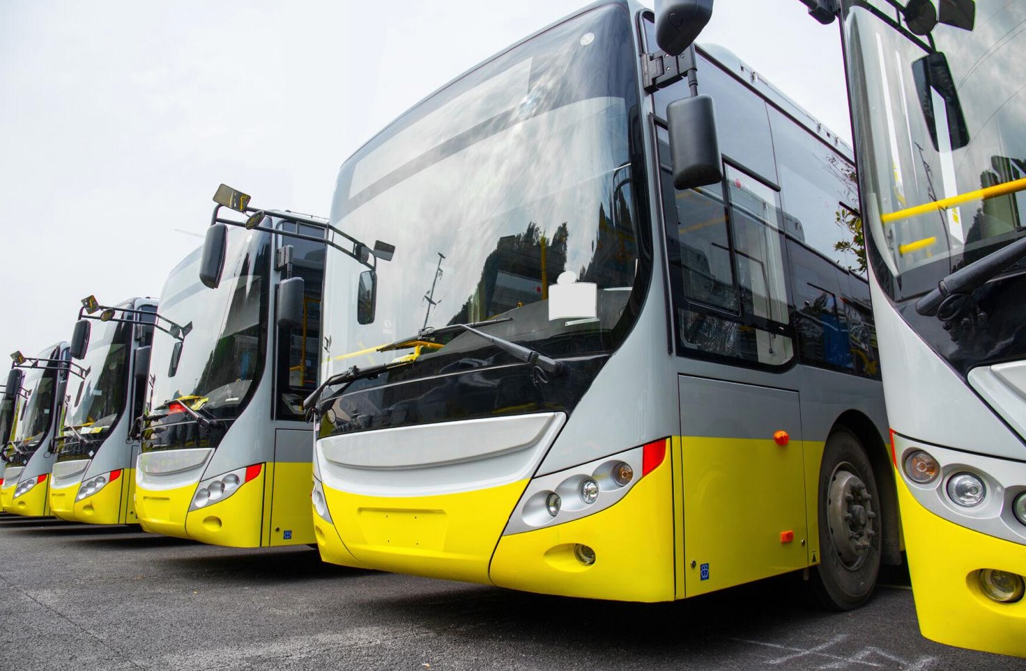 Electric buses sit in a parking lot.