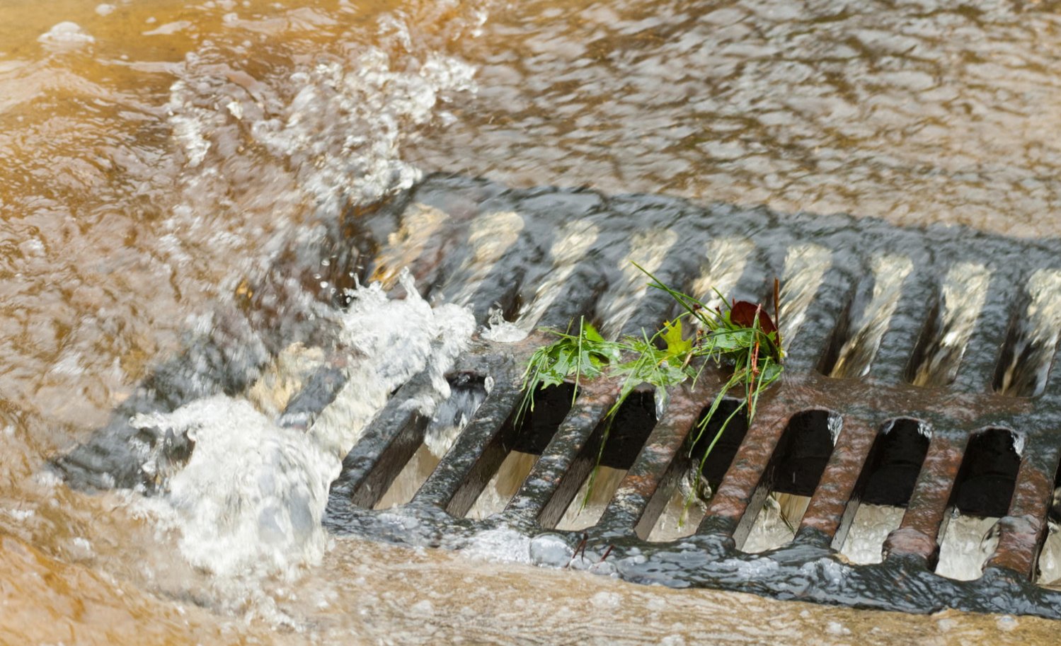 Clear storm drains help prevent local flooding. Prepare for heavy rain by removing debris from storm drains and ditches and reporting clogged ditches to local governments.