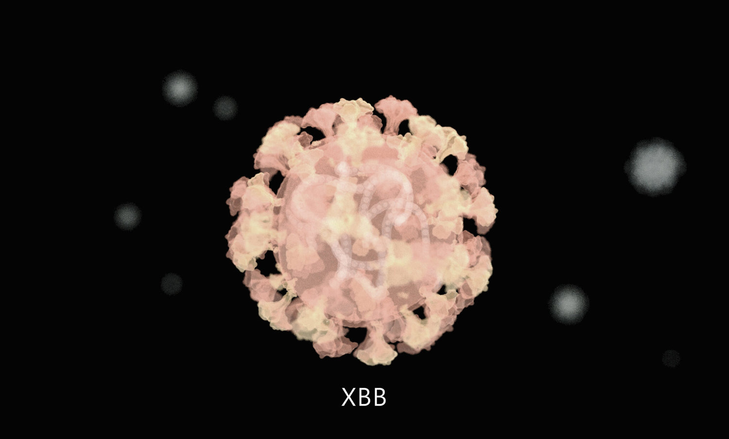 New Coronavirus variants called "XBB" found in Hong Kong and Thailand.