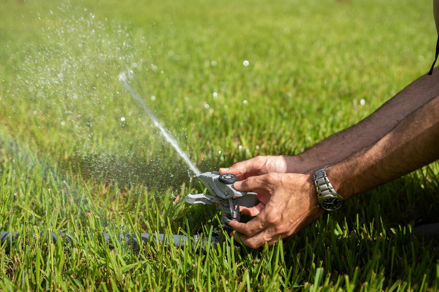 Previous research by UF/IFAS found that the highest water users spend 60 to 70% of their total water use on their yards. Many homes in Florida do not have an irrigation system. For those that do, reducing outdoor water use is the key to making truly impactful steps towards water conservation.