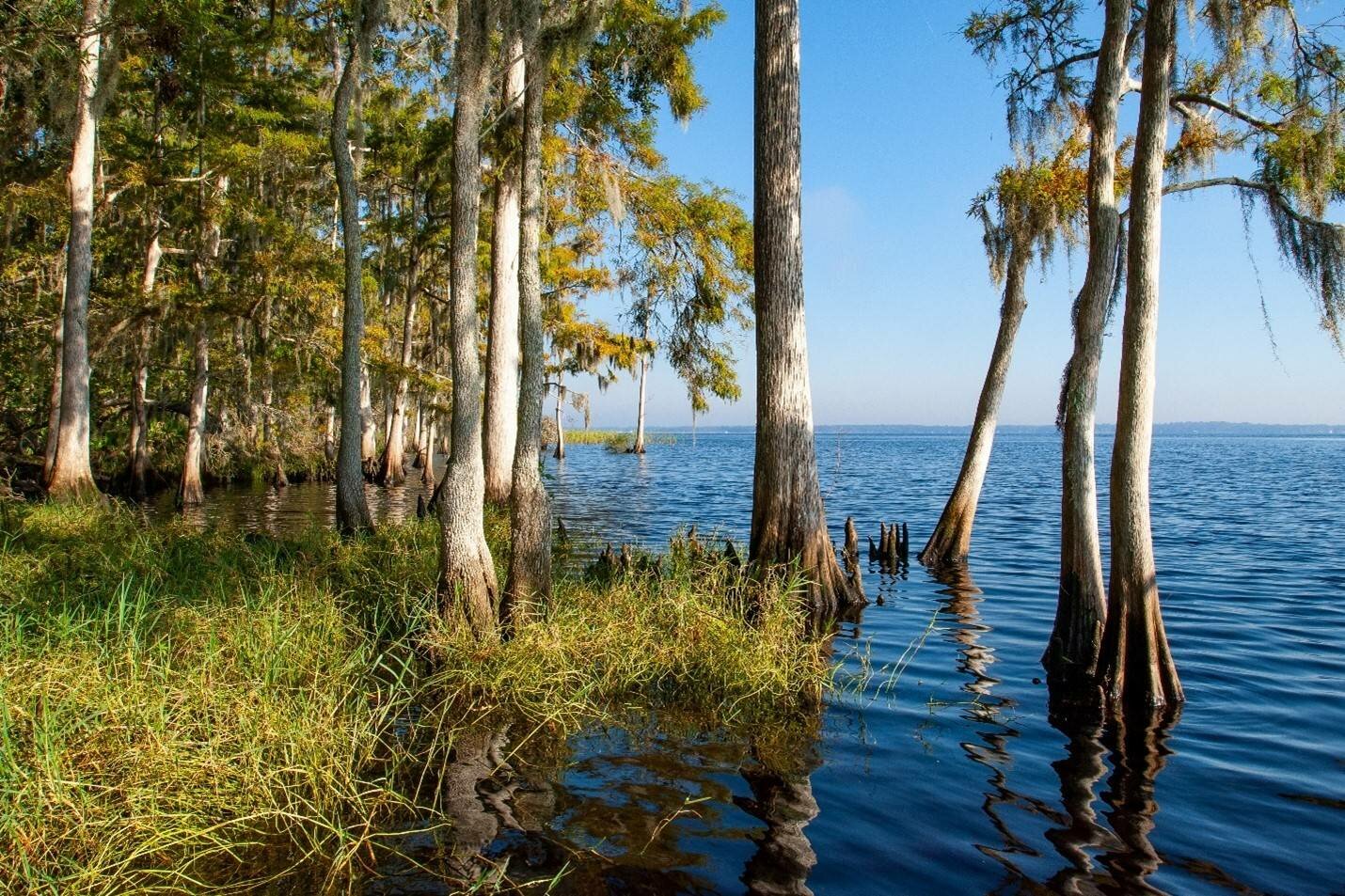 The Lower St. Johns River Basin in Clay County.