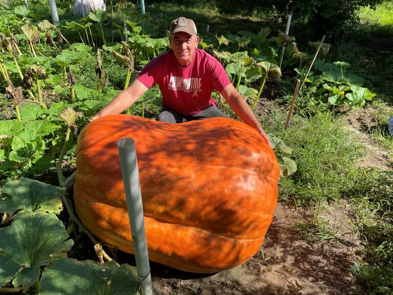 Glenn Knight with his record-breaking 622-pound pumpkin.