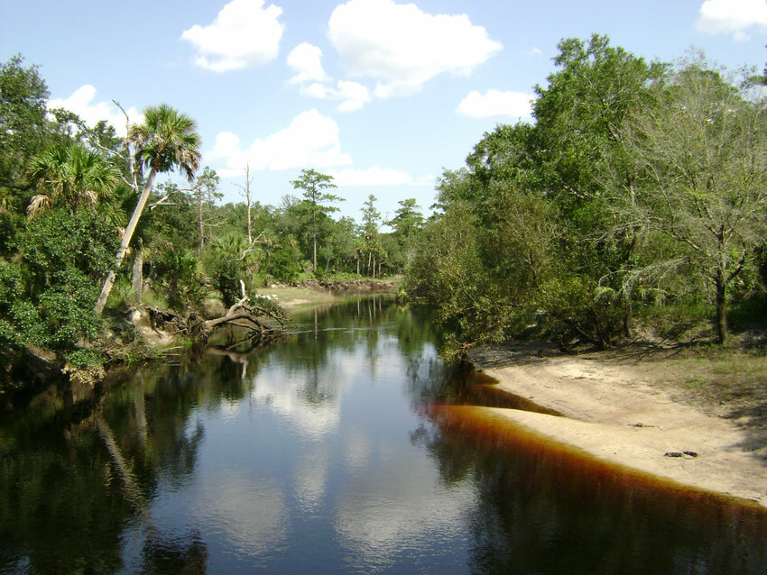 The Econlockhatchee River is one of the last unspoiled rivers in Central Florida.