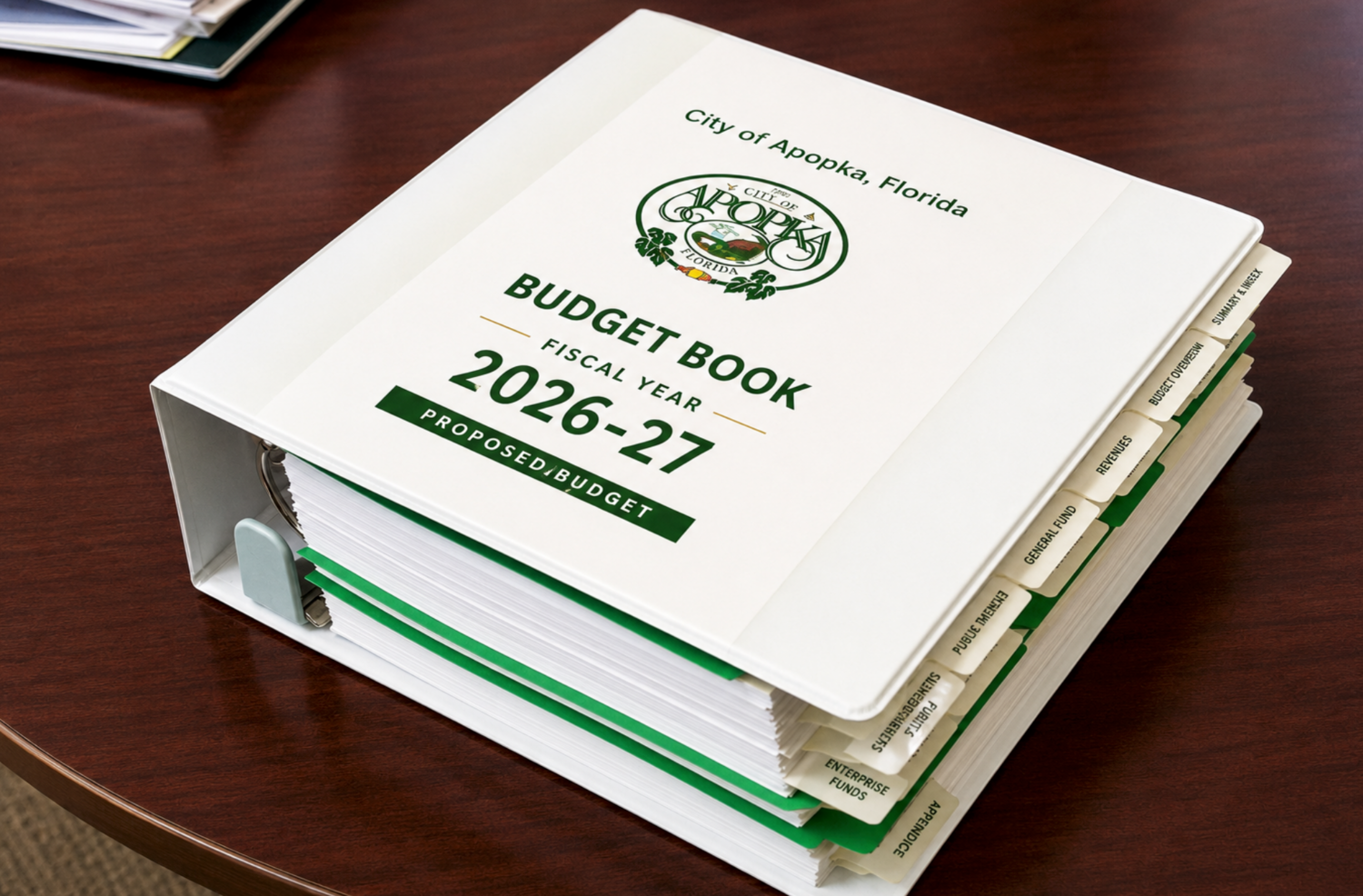Nesta wants a more transparent budget process and a closer look at city reserves