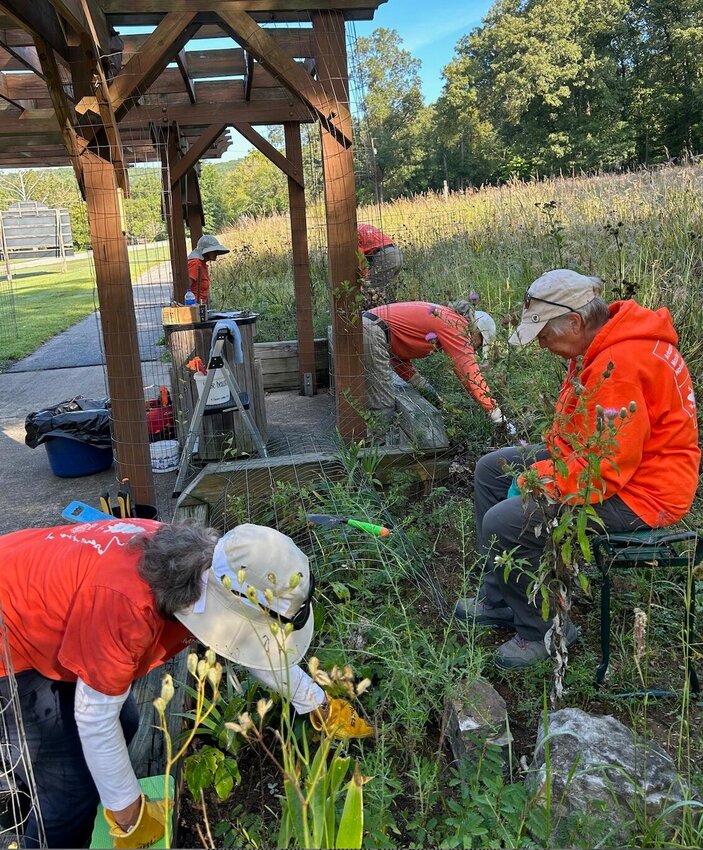 Master Naturalists remove invasive plants from the Gaston Wildflower Garden in Bull Shoals-White River State Park.   Submitted Photo