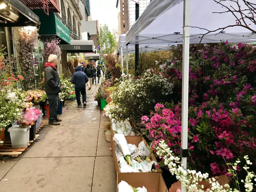 The hotel where the JMArts students are staying is on the main street in the flower district, a place where the sidewalks are decked out every morning with small trees and flowers and other plants for the wholesale florists, event managers and hotels.