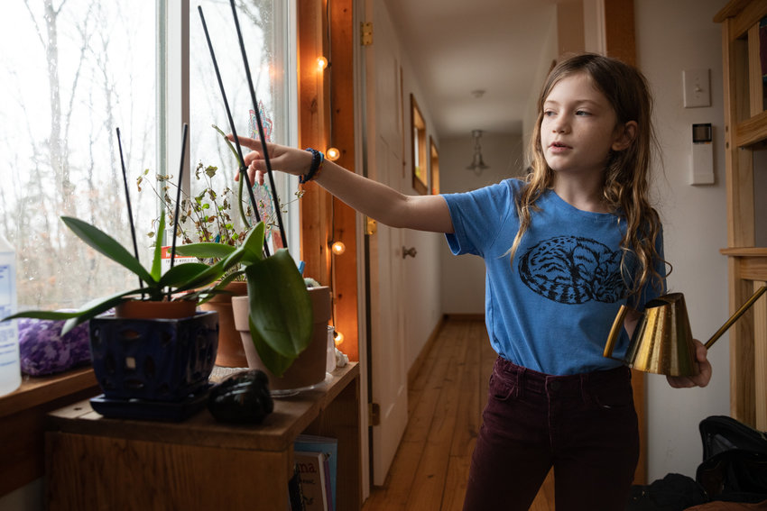 Bea Allen, 9, waters her orchid plants. Of her 32 houseplants, orchids are some of her favorite.