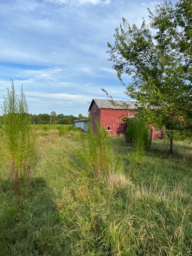 A barn on the former Reeves family property west of Pittsboro. The property's nearly 500 acres of land have been purchased by local investors for a mixed-use development project. Edward Holmes Jr., Buddy Keller and Carter Keller acquired the property in December, paying almost $19.6 million.