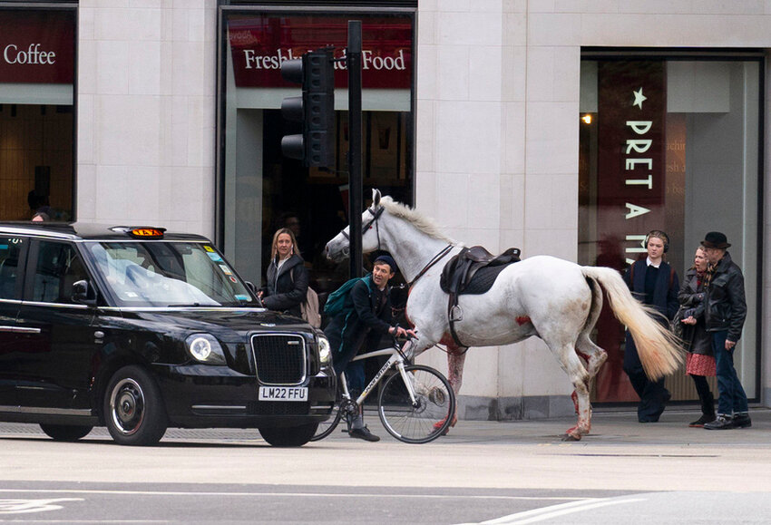 A white horse on the loose bolts through the streets of London near Aldwych, on Wednesday April 24, 2024. (Jordan Pettitt/PA via AP)