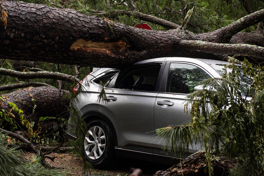 A tree fell on the top of an SUV, seen on Monday, May 13, 2024, after a stormy weekend in Jackson, Miss. (Lauren Witte/The Clarion-Ledger via AP)